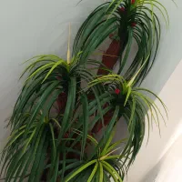 درختچه مصنوعی