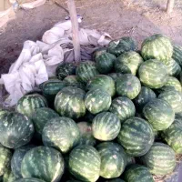 هندوانه ارزون