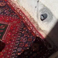فرش دستبافت|فرش|شیراز, شهرک سعدی|دیوار
