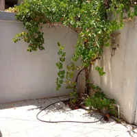 خانه ویلای محدوده پل معالی آباد داخل منصورآباد.|اجارهٔ خانه و ویلا|شیراز, منصورآباد|دیوار