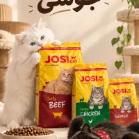 غذا خشک گربه برند جوسی