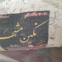 فرش نو