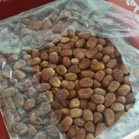 خرمای زاهدی قصب