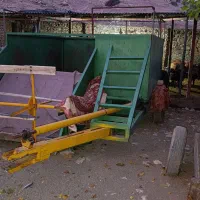 دروگر پشت تراکتوری عتیقه