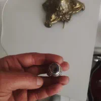 انگتر شجر قاینات بسیار زیبا