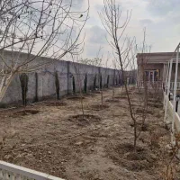 باغ خونه ویلایی جواد آباد ورامین|فروش خانه و ویلا|جوادآباد, |دیوار