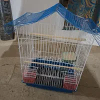 قفس پرنده