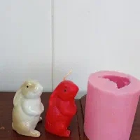 قالب خرگوش سیلیکونی