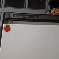 یخچال|یخچال و فریزر|تهران, حسین‌آباد|دیوار