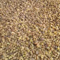 ترکیبات گیاهی ودارویی، رژیمی با طب اکبری|آرایشی، بهداشتی، درمانی|کرمانشاه, |دیوار