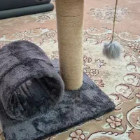 اسکچر