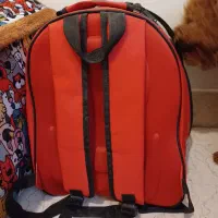 کیف و باکس حمل سگ|لوازم جانبی حیوانات|تهران, سهروردی|دیوار