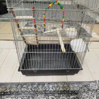 قفس پرنده