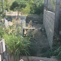 پیمانکاری و بنایی صفرتاصد|خدمات پیشه و مهارت|نظرآباد, نظرآباد|دیوار