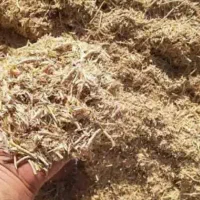 شش تن کاه لوبیا و کاه سفید نصفه مخلوط