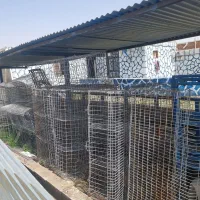 قفس مرغ تخم گذار