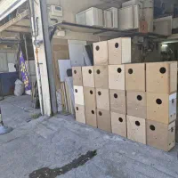 لانه، جای تخم گذاشتن گرینچیک،طوطی،کاسکو،مرغ عشق