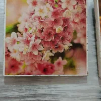 ده تابلو زیبا به ابعاد ۱۰سانت در ۱۰سانت|تابلو، نقاشی، عکس|شیراز, معالی‌آباد|دیوار