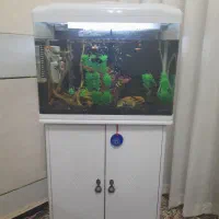 آکواریوم شرکتی دلسا با کمد و وسایل