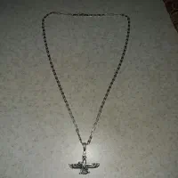 زنجیر و پلاک نقره فروهر