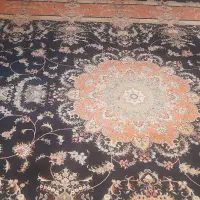 قالی12متری دو عدد