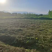 علف و چمن زنی و سمپاشی با دستگاه