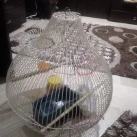 قفس پرنده با لوازم جانبی