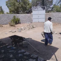 باسلام خدمت دوستان عزیز باغچه 270متری