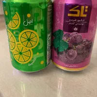 دلستر