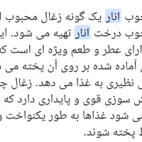 چوب انار