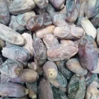 خرما|خوردنی و آشامیدنی|اهواز, ۲۴ متری|دیوار