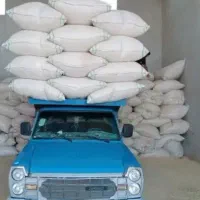 کاه گندم.|حیوانات مزرعه|میمه, |دیوار