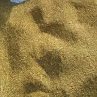 برنج   و چلتوک
