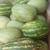 هندونه