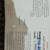 چرخ خیاطی کاچیران مدل کاملیا