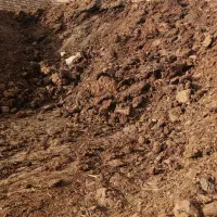 کودگاوی|خدمات باغبانی و درختکاری|طاغنکوه, |دیوار