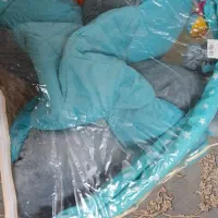 تشک بازی|اسباب و اثاث بچه|قرچک, پویینک|دیوار