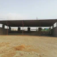 یک واحد گاوداری