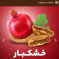 طراحی‌سایت فقط با پیش پرداخت ۵۰۰ هزار|خدمات رایانه‌ای و موبایل|کرمانشاه, |دیوار