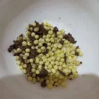 حلزون تراپی|خزنده|قدس, شهر‌قدس|دیوار