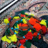 ۱۰متر شیردنگ نو