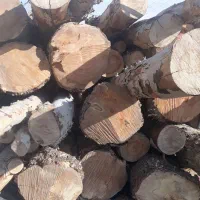 برش وهرس و خرید انواع چوب