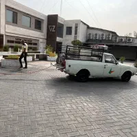 سم پاشی مرکز تخصصی کنترل آفات|خدمات نظافت|برازجان, |دیوار