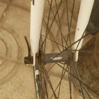 دوچرخه (کورسی) برند پلیس|دوچرخه، اسکیت، اسکوتر|تهران, گلستان (شهرک راه آهن)|دیوار