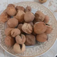 لوبیاعدس تخمه  کشمش بادوم زمینی|خوردنی و آشامیدنی|بروجرد, |دیوار