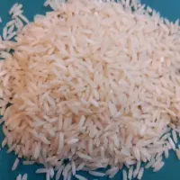 برنج هاشمی مزرعه پدری