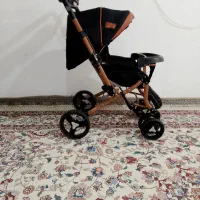 کالسکه دلیجان بنیتا درحدنونو