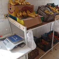 فروش لوازم میوه فروشی