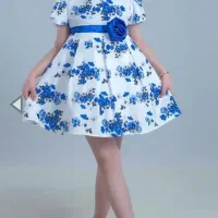 لباس بچگانه و زنانه|لباس|دوگنبدان, |دیوار