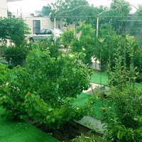 باغ ویلای دوخوابه جهادآباد شاهین شهر|اجارهٔ کوتاه‌مدت ویلا و باغ|شاهین‌شهر, برخوار غرب|دیوار